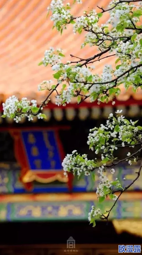 挺进她的花苞 啊太深电车:一场意外的邂逅引发了无法预料的情感风暴! 挺进她的花苞 啊太深电车:一场意外的邂逅引发了无法预料的情感风暴!