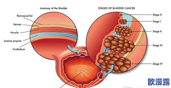 添花核心流水喝还是喝好？专家解析饮用方式对健康的影响与选择建议
