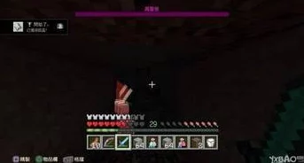 我的世界纳德吉克凋灵BOSS详细属性解析及高效打法介绍