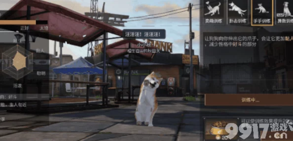 明日之后游戏中宠物狗性格如何查看？详细方法与技巧介绍