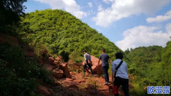 山里人家40一80：探访深山中的独特生活方式与自然风光，感受人与自然的和谐共生之美