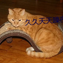 天天躁日日躁狠狠躁视频下载播二：最新动态与精彩内容一网打尽，带你领略不一样的视听盛宴！
