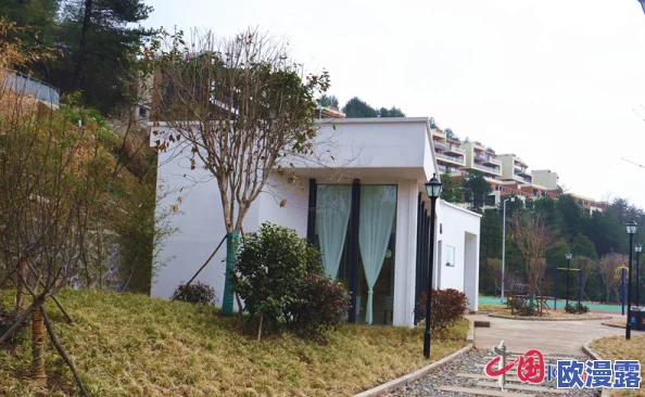 国产精厕新动态:智能化升级与环保技术相结合,推动卫生间革命,引领未来生活新风尚 国产精厕新动态:智能化升级与环保技术相结合,推动卫生间革命,引领未来生活新风尚