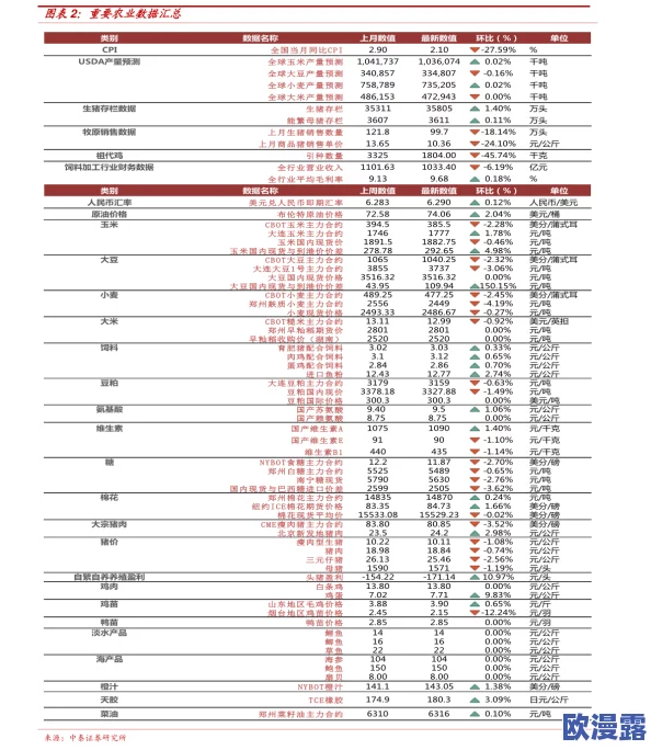 月兔冒险金票的作用与用途：全面解析其在游戏中的价值