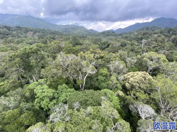海角:新发现揭示了该地区独特的生态系统与丰富的生物多样性,吸引了众多科学家和游客前来研究与观光 海角:新发现揭示了该地区独特的生态系统与丰富的生物多样性,吸引了众多科学家和游客前来研究与观光
