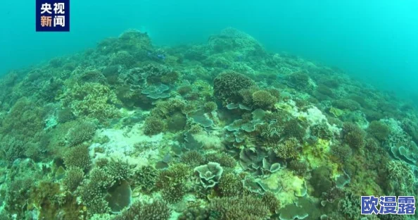 海角:新发现揭示了该地区独特的生态系统与丰富的生物多样性,吸引了众多科学家和游客前来研究与观光 海角:新发现揭示了该地区独特的生态系统与丰富的生物多样性,吸引了众多科学家和游客前来研究与观光