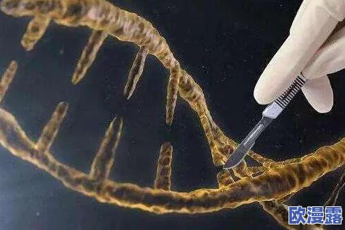 放荡的美妇在线播放：最新动态与观众反馈引发热议，内容更新频繁吸引大量粉丝关注