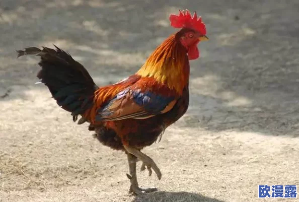 男人用鸡鸡捅女人鸡鸡：最新进展显示双方已达成和解，事件引发社会广泛讨论与反思