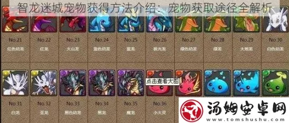 智龙迷城手游全面解析：宠物品质分类及高效获取方法一览表