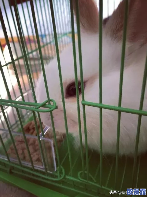 B站刺激战场视频的拍摄时间：最新动态与玩家分享的精彩瞬间回顾