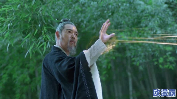 《倚天屠龙记》手游武当门派侠客选择策略与问题分析探讨