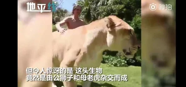 欧美人与牲口杂交在线播放免费视频引发了网友们的热议,许多人对此表示震惊和反感,认为这种内容不应被传播 欧美人与牲口杂交在线播放免费视频引发了网友们的热议,许多人对此表示震惊和反感,认为这种内容不应被传播