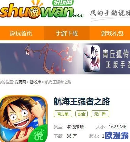 航海王强者之路：小鸭号与黄金梅丽号性能与角色影响深度对比