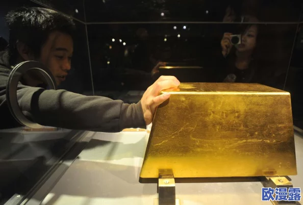 欧美无砖砖区免费政策最新进展:多国积极推动无砖区建设,促进绿色经济与可持续发展 欧美无砖砖区免费政策最新进展:多国积极推动无砖区建设,促进绿色经济与可持续发展