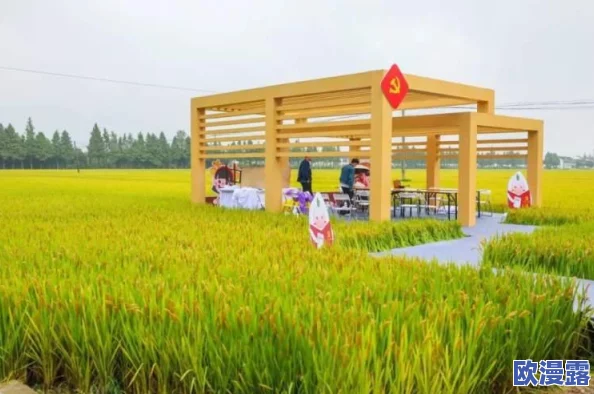 丰年经的继拇6：网友热议其对农业发展的影响与未来前景，纷纷表达各自看法和期待