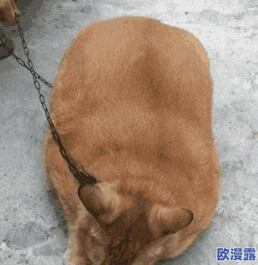 女邻居被做得嗷嗷叫，网友纷纷表示这样的行为太过分，侵犯了他人的隐私和安宁