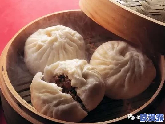 包子*:传统美食的现代演绎,如何在快节奏生活中找到属于自己的味道与情感连接 包子*:传统美食的现代演绎,如何在快节奏生活中找到属于自己的味道与情感连接