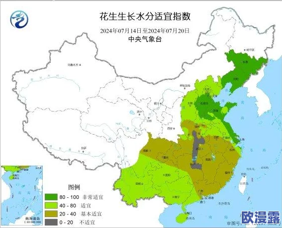 h黄动漫在线观看播放：最新动态更新，提供更多精彩内容与观看体验，满足广大动漫爱好者的需求