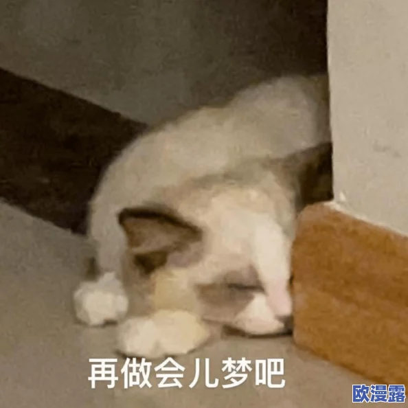 黄色片在线网站最新动态:新平台上线,提供更丰富的内容选择与用户体验,吸引了大量观众关注与参与 黄色片在线网站最新动态:新平台上线,提供更丰富的内容选择与用户体验,吸引了大量观众关注与参与