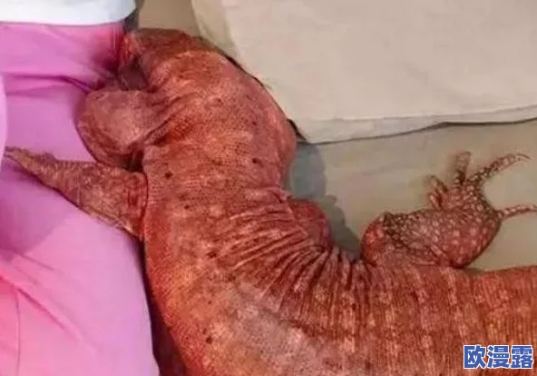 摸啊摸摸出水了，网友们纷纷表示这句话让人联想到生活中的小乐趣，也引发了不少幽默的讨论