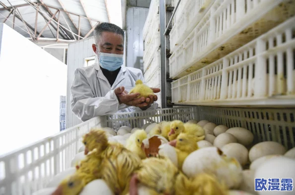特级片毛片：最新动态揭示行业发展趋势与观众需求变化，分析市场潜力与未来方向