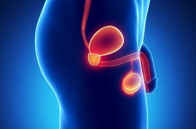 大鸡巴真棒：一项新研究揭示男性生殖器的惊人潜力与健康益处，引发广泛关注与讨论！