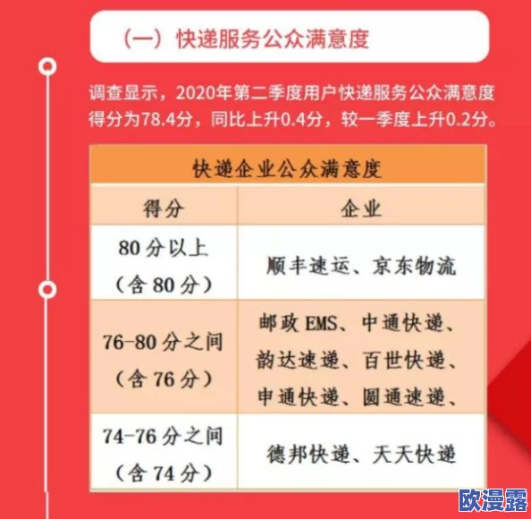 快递服务网站的用户体验如何？网友们纷纷表示希望能提高配送速度和客服响应效率