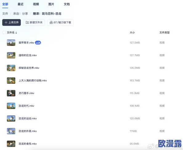 老司机精品视频免费：最新动态分享，带你了解当前最受欢迎的免费视频资源和观看体验