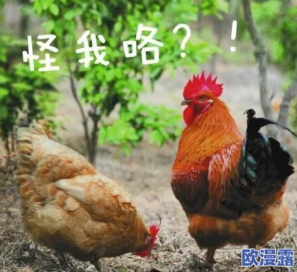 男人鸡鸡桶女人视频引发热议，网友们纷纷表达对这种内容的反感与不满，认为应加强对网络视频的监管