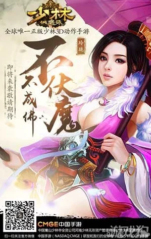少林伏魔录中玲珑角色全面技能解析与介绍