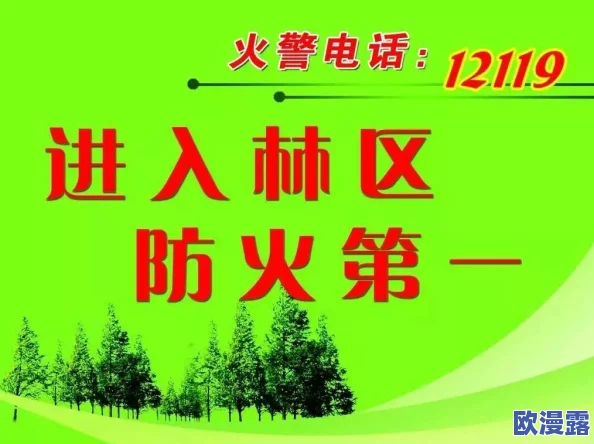 乡村烈焰又粗又长又大,火灾频发引发关注,专家呼吁加强森林防火和应急管理措施 乡村烈焰又粗又长又大,火灾频发引发关注,专家呼吁加强森林防火和应急管理措施