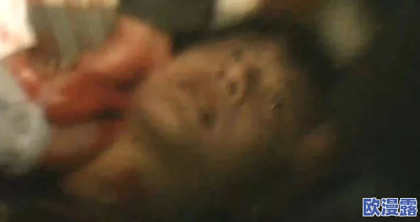 探索欧美性禁片在线观看的多样化内容与文化影响，揭示背后的社会现象