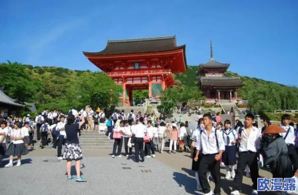 日本一二三级：最新动态显示日本经济复苏势头强劲，消费信心回暖，企业投资持续增长