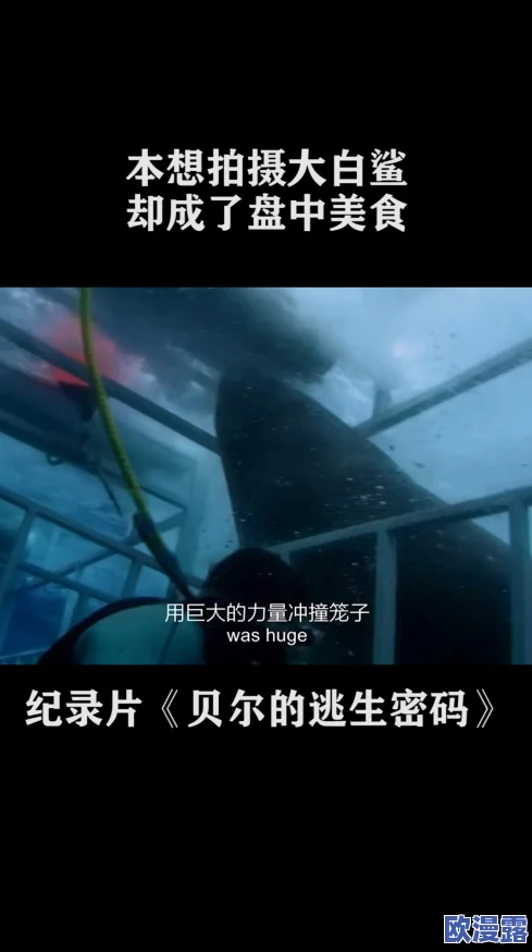 探索男S与男M之间的激情碰撞：深度解析相关视频内容与文化