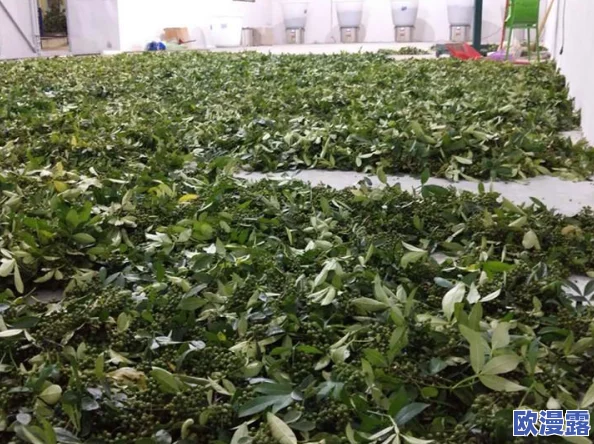 《口袋联盟》深度解析图鉴系统介绍:全面探索图鉴功能一览与玩法 《口袋联盟》深度解析图鉴系统介绍:全面探索图鉴功能一览与玩法