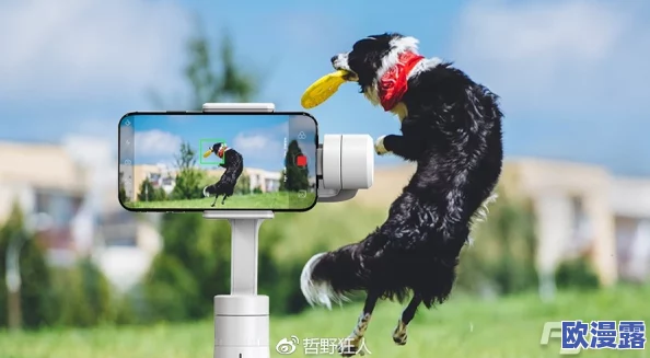 探索国产愉拍精品手机的魅力：如何在摄影与科技中找到完美平衡，开启你的创意之旅