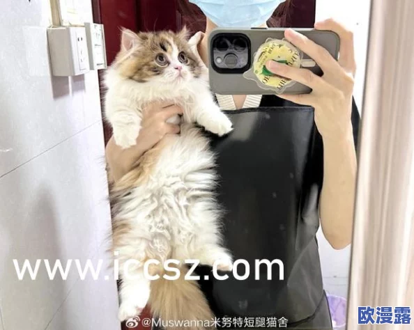 探索波多野结衣全集乳的魅力:从经典作品到现代影像,揭示其背后的艺术与文化价值 探索波多野结衣全集乳的魅力:从经典作品到现代影像,揭示其背后的艺术与文化价值