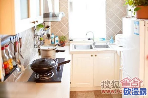 厨房春潮他含着她的乳，这个标题引发了网友们的热议，大家对其内容和表达方式有不同看法，有人认为过于露骨