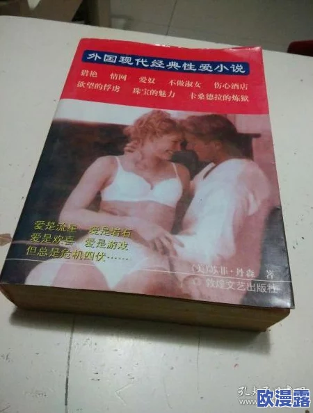 攵女乱小说系列合集：探索禁忌与欲望交织的文学世界