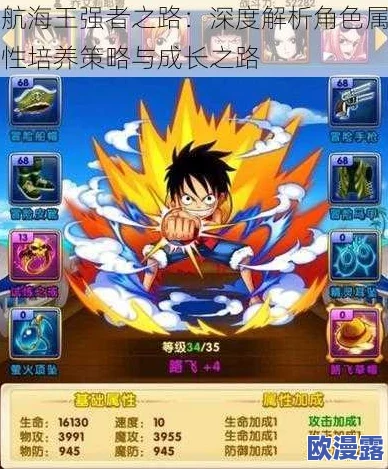 航海王强者之路：老司机玩家深度攻略解析与技巧分享