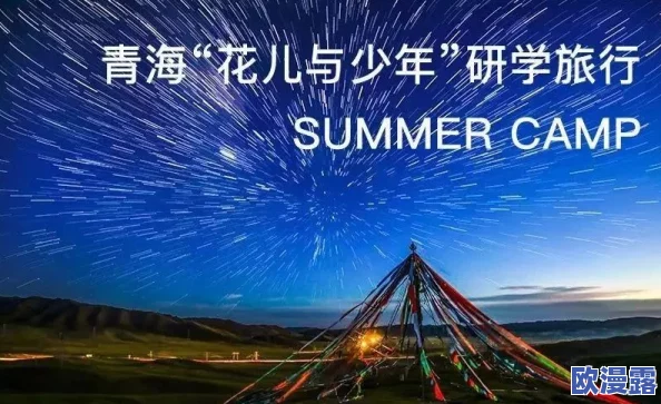 探索欧美文化的独特魅力：69种免费资源带你领略多元风情与创意灵感
