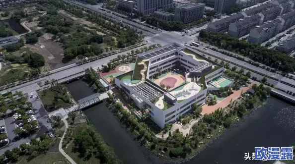 幼儿园发家致富经揭秘：梦幻西游高效捕捉变异宠物攻略