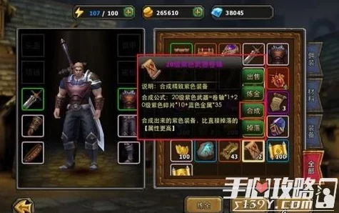 暗黑黎明深度解析：佣兵狮心领主伊莎九级进阶装备全面介绍