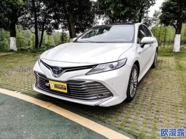 探索日韩一级片在线：畅享多样化影视内容与精彩剧情的完美结合
