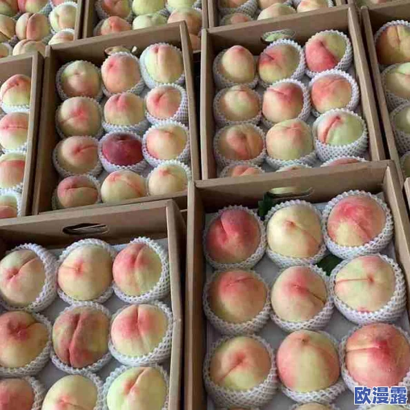97密桃：最新动态揭示其在市场上的热度持续攀升，消费者对其品质和口感的高度评价引发关注