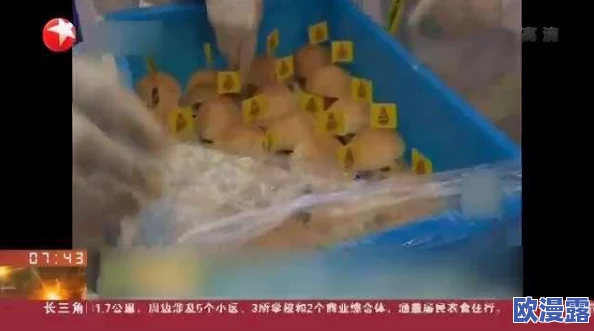 爸爸的女儿们2023俄剧双语，剧情紧凑，角色塑造鲜明，让人感受到家庭的温暖与幽默