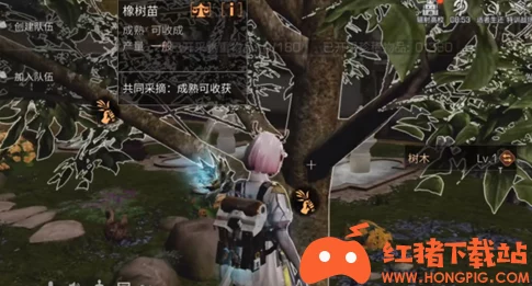 明日之后游戏攻略：小枝芽获取方法及其在游戏中的实际用途详解