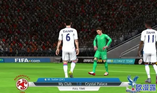 2024年FIFA巴西世界杯：足球盛宴即将开启，全球瞩目激情对决