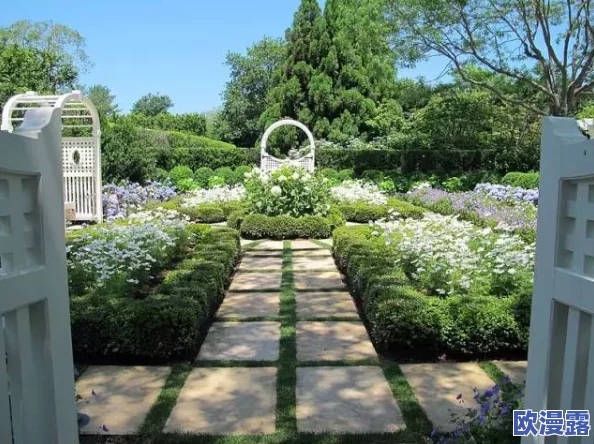 齐司礼的尾巴探进花园，真是个有趣的比喻，让人联想到生活中的小细节