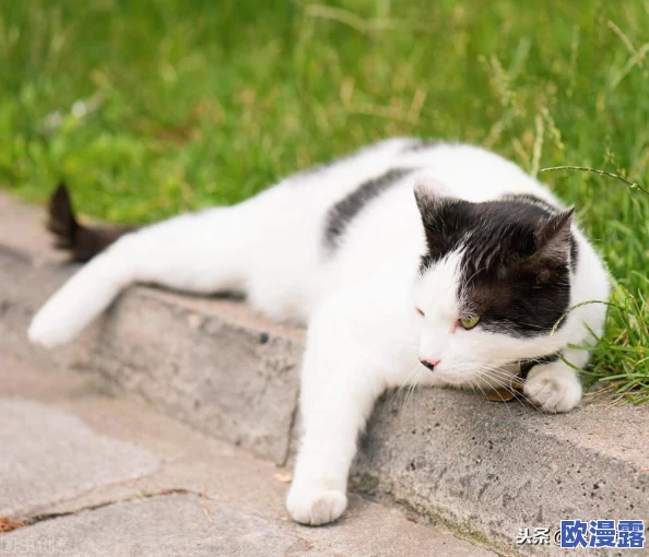 小说h：网友热议情节设定与角色发展，认为作品在情感描写上颇具深度，引发广泛讨论与共鸣